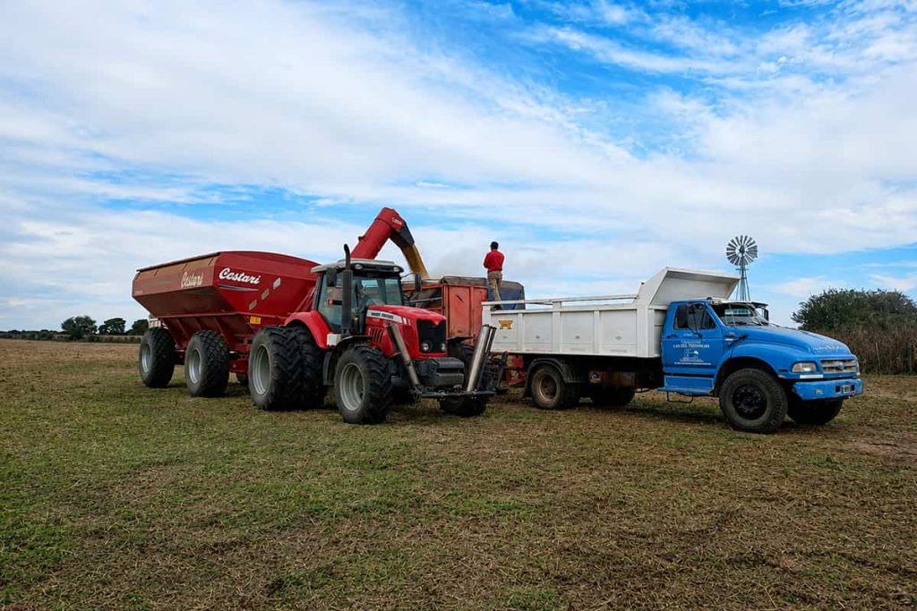 Una cooperativa entre Santa Fe y Córdoba para salvar la producción lechera