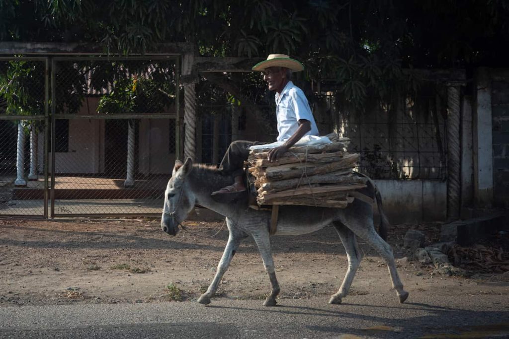 El campo colombiano siembra la paz