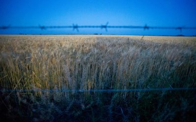 Modificación de ley de tierras en Argentina: impactos directos para la soberanía alimentaria