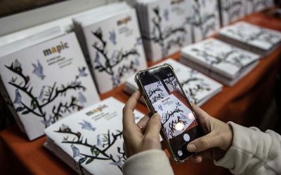 El Pueblo Qom y el árbol milenario que es poesía