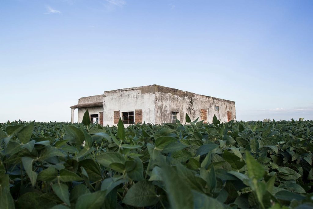Arrendamientos rurales: cuando producir depende de poder pagar la tierra