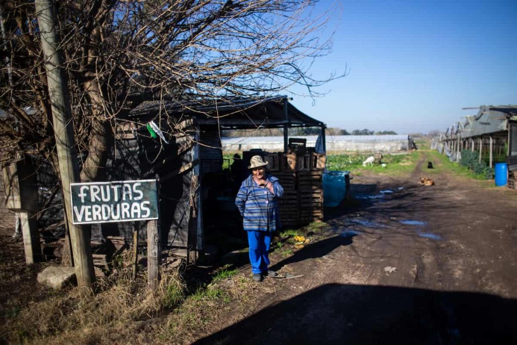 Arrendamientos rurales: cuando producir depende de poder pagar la tierra