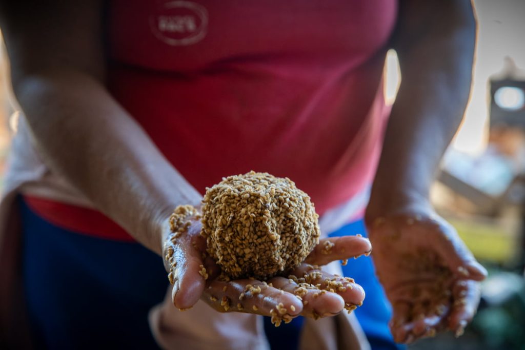 La Ley de Semillas bajo amenaza por dos resoluciones a favor de las corporaciones del agronegocio