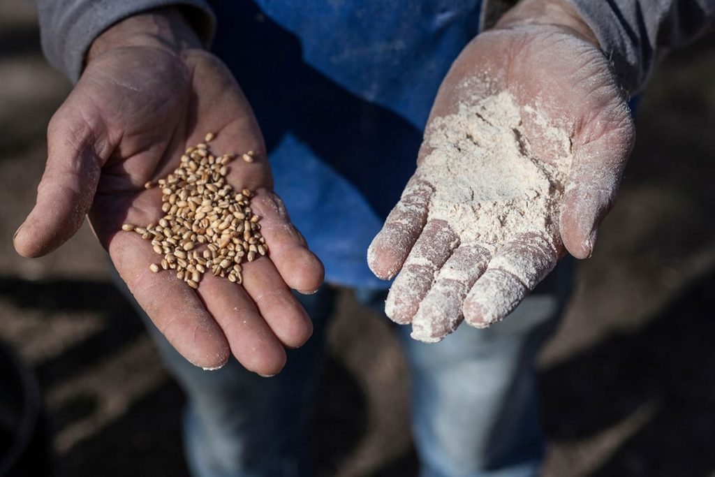 La Ley de Semillas bajo amenaza por dos resoluciones a favor de las corporaciones del agronegocio