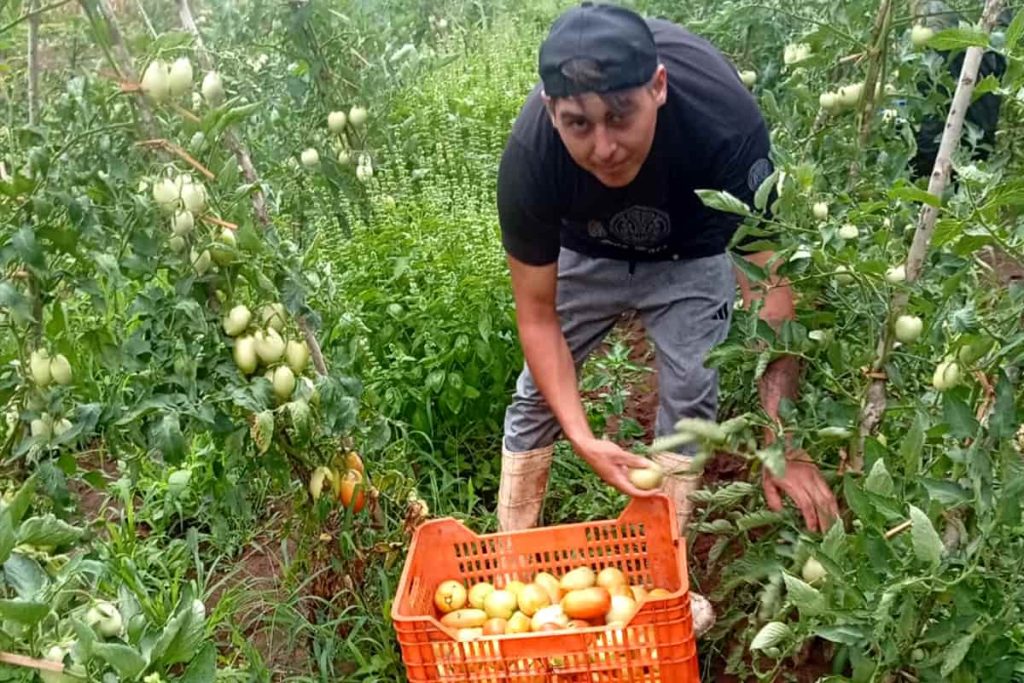 Franco Oscarí Campesino detenido jujuy
