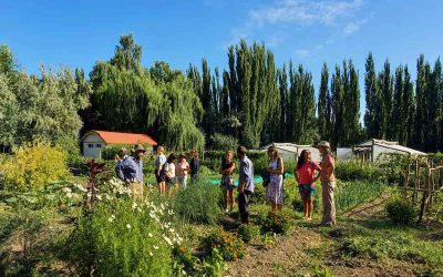Comunidad que Sostiene la Agricultura: productor y consumidor aliados en la alimentación