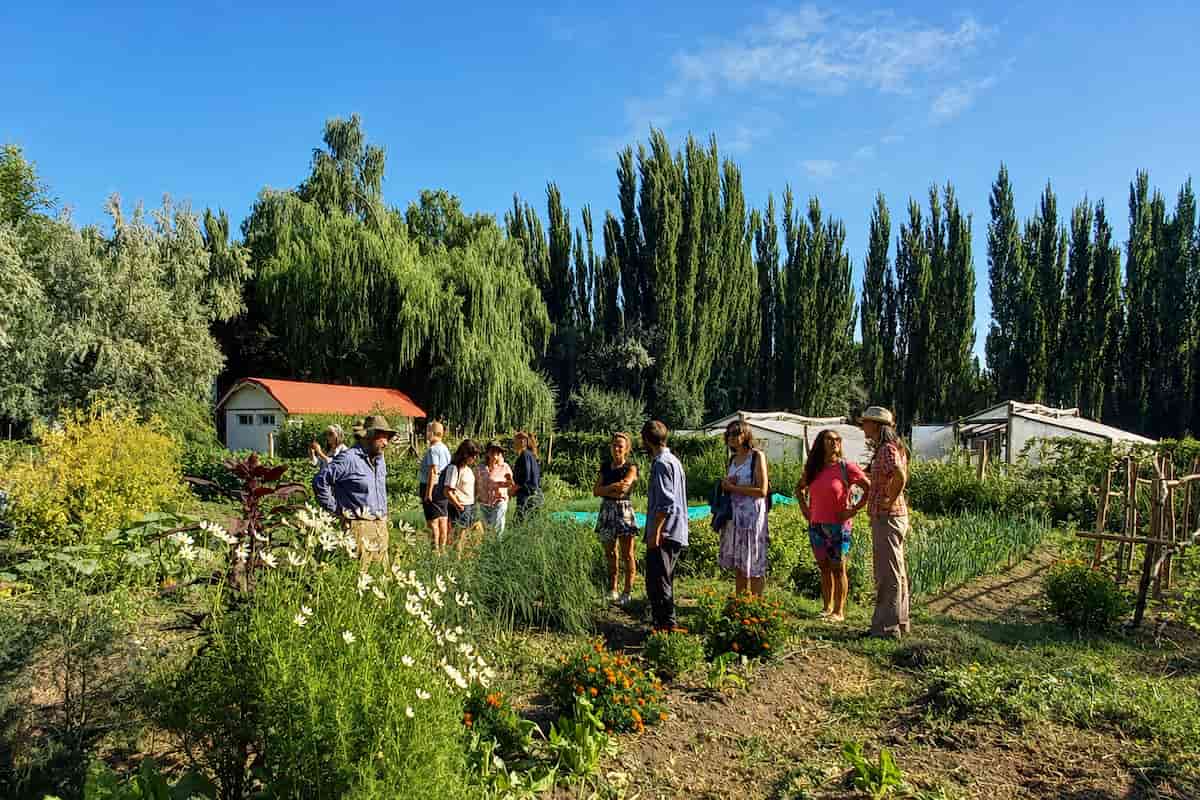 Comunidad que Sostiene la Agricultura: