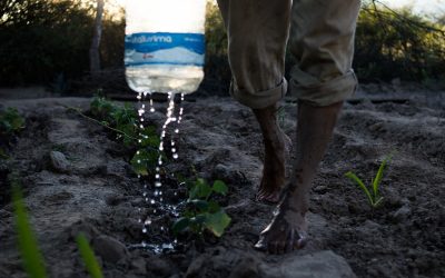 Geopolítica de la sed: el agua como nuevo eje de la acumulación