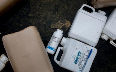 El agronegocio lo hizo: epidemia de abortos espontáneos y hipotiroidismo en ciudades con uso de agrotóxicos