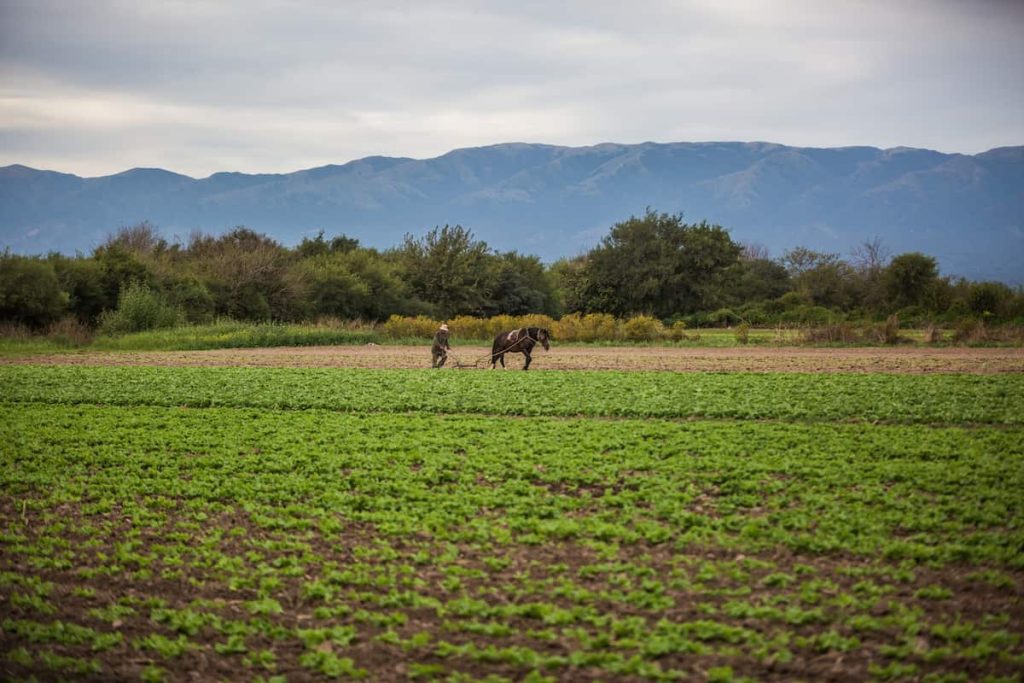 Observatorio de Tierras Inviolabilidad de la Propiedad Privada