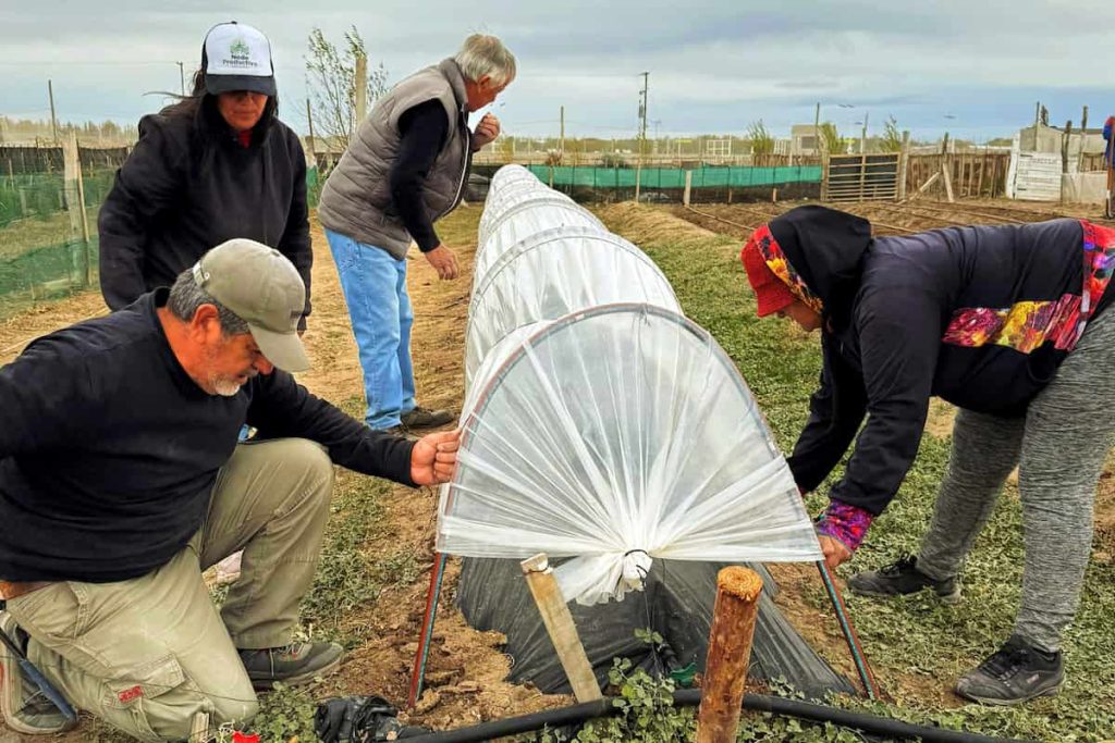 La experiencia agroecológica en el Valle Inferior de Chubut: