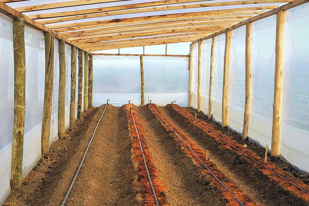 La experiencia agroecológica en el Valle Inferior de Chubut: