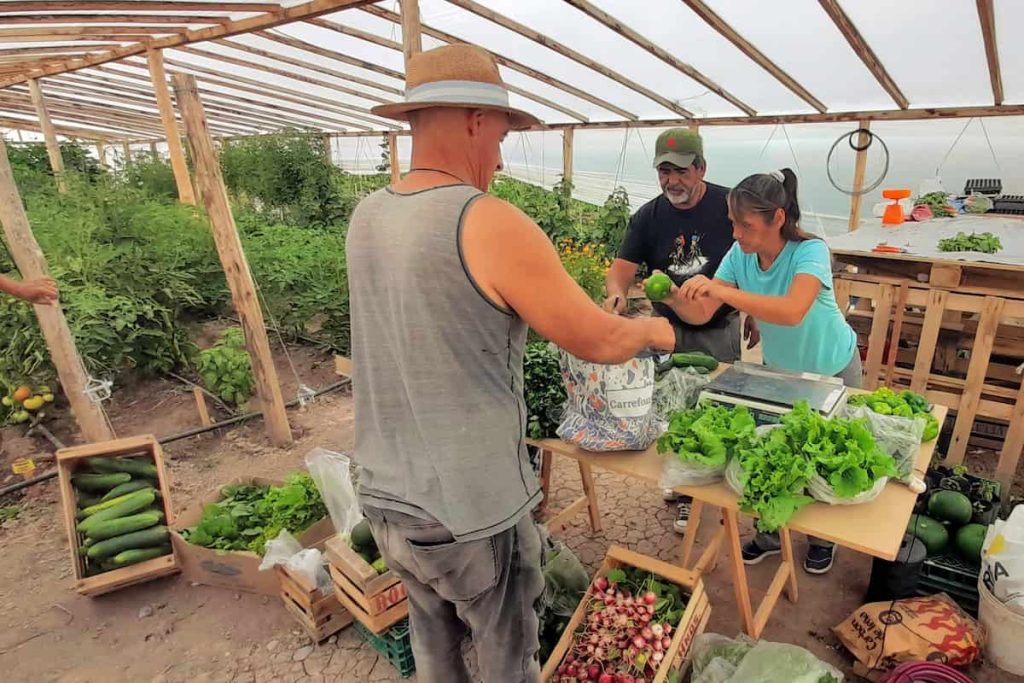 La experiencia agroecológica en el Valle Inferior de Chubut: