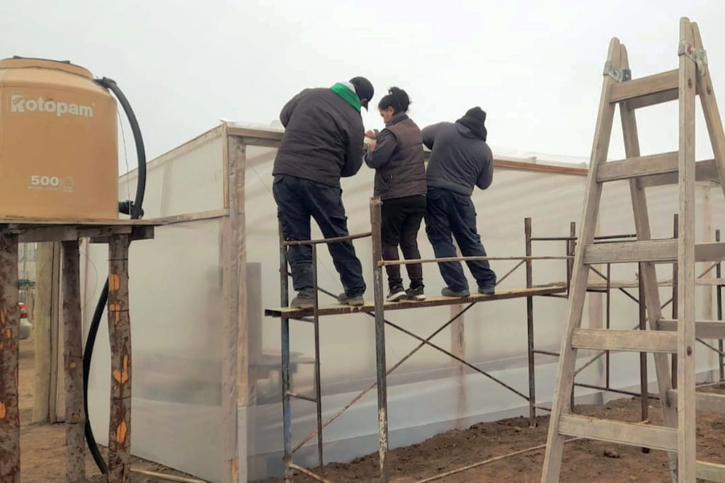 La experiencia agroecológica en el Valle Inferior de Chubut: