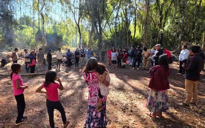 La política pública de Misiones: desalojar comunidades indígenas y beneficiar a empresas forestales