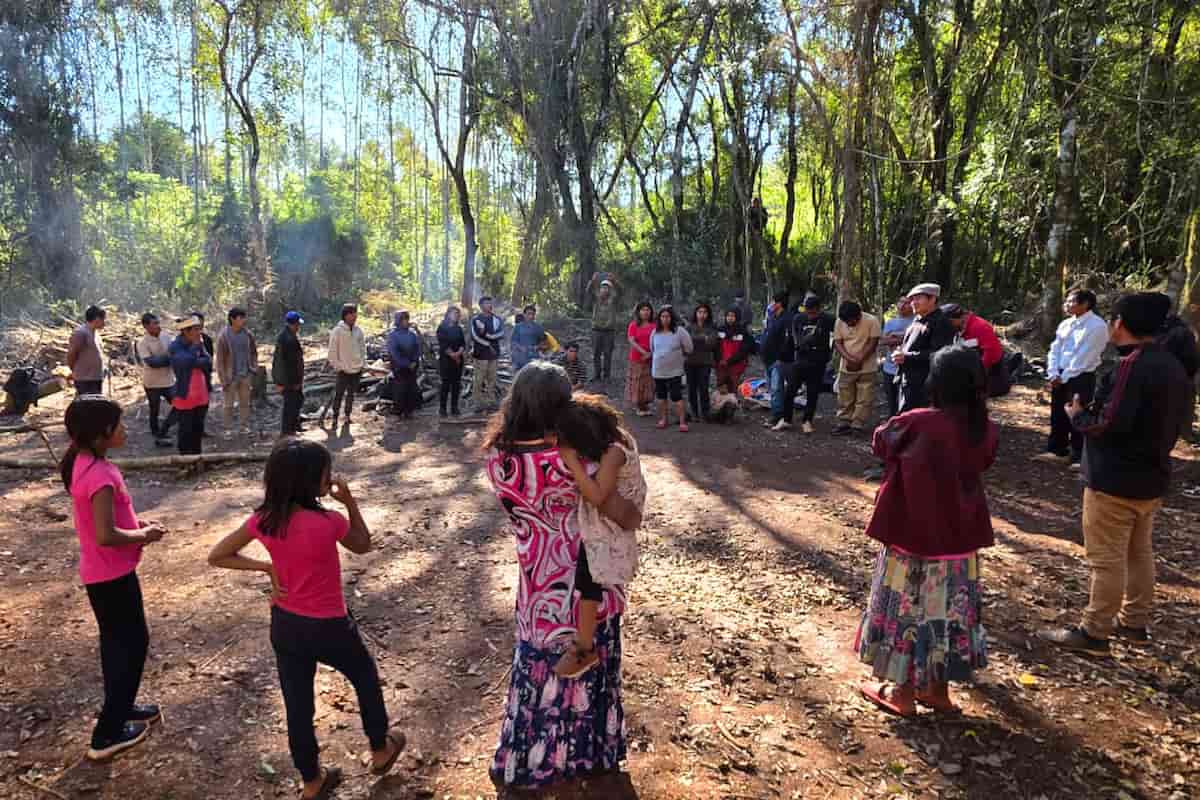 Puente Quemado II: desalojo y la avance del poder forestal sobre el territorio Mbya