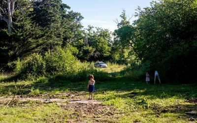 Ley de tierras: "Pretenden despojar a las comunidades indígenas de sus territorios"