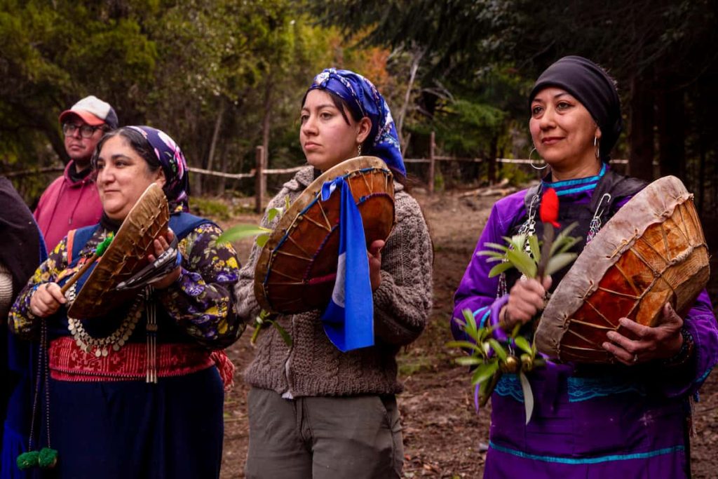 Comunidad Mapuche Villa Langostura