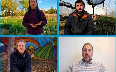 Del campo al aula: la cátedra abierta de la Mesa Agroalimentaria Argentina