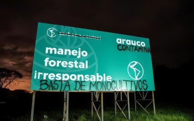 El modelo Arauco en Misiones: amenazas, detenciones y casas quemadas con complicidad estatal