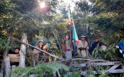 “Lo que ellos no tienen es la resistencia y el amor que nosotros tenemos por estos territorios”