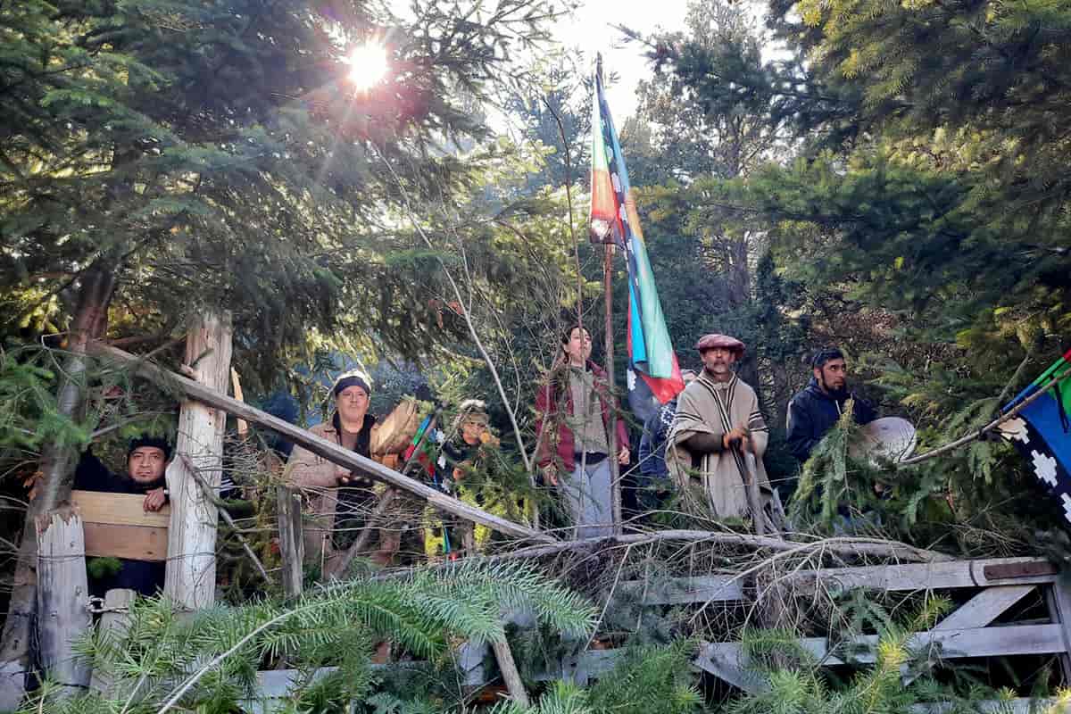 Lo que ellos no tienen es la resistencia y el amor que nosotros tenemos por estos territorios