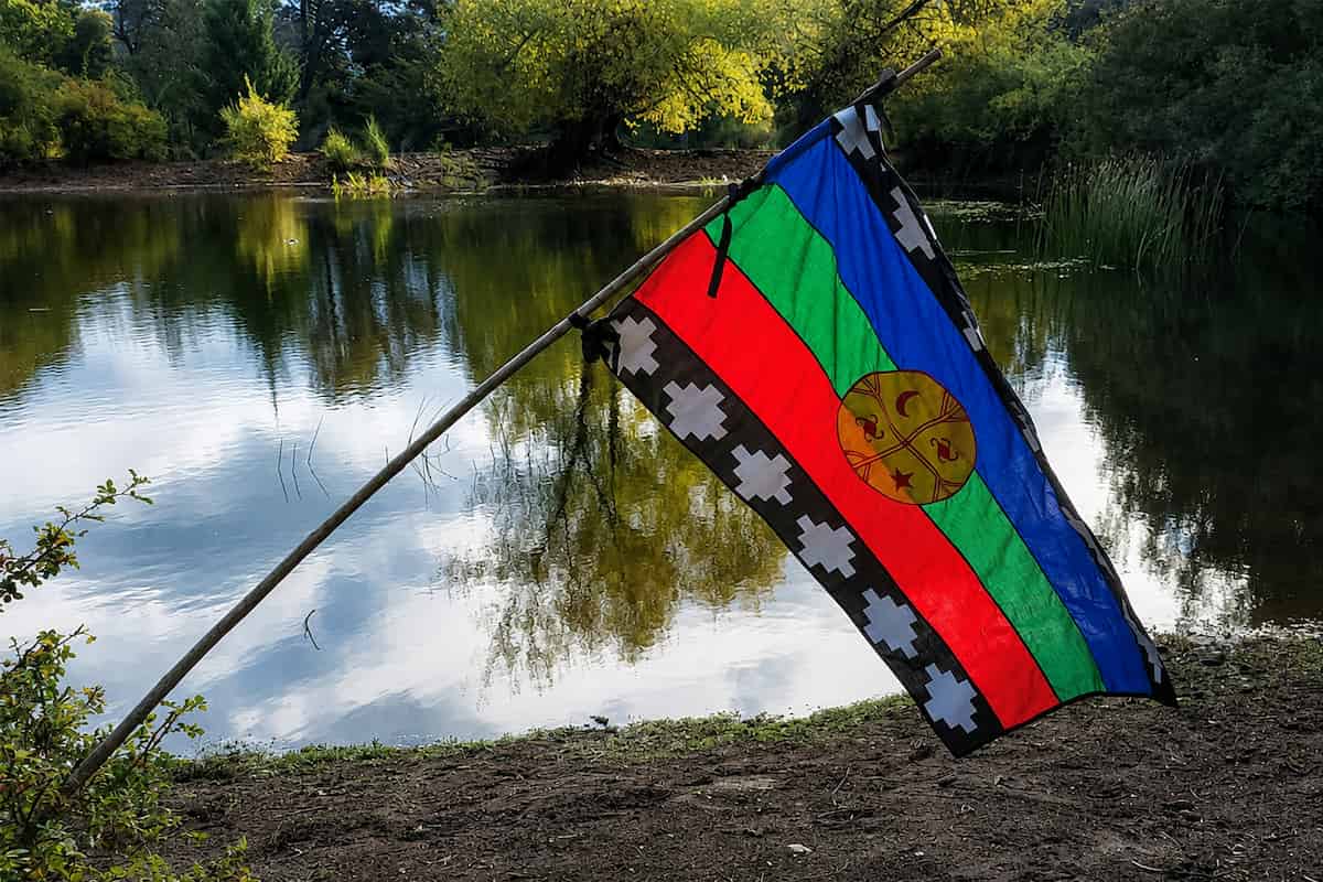 Lo que ellos no tienen es la resistencia y el amor que nosotros tenemos por estos territorios