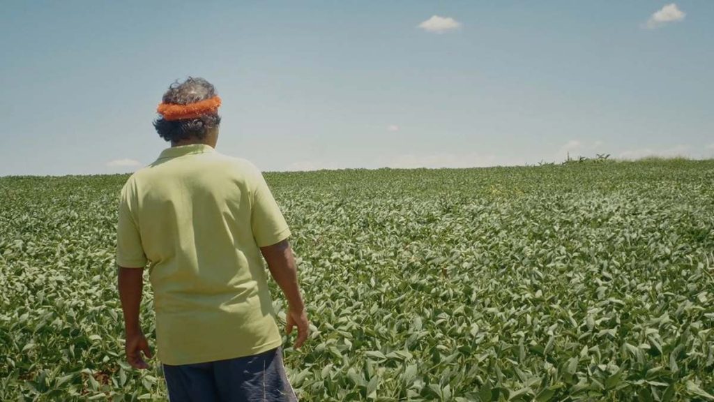 Festival Internacional de Cine Ambiental (Finca) 2026