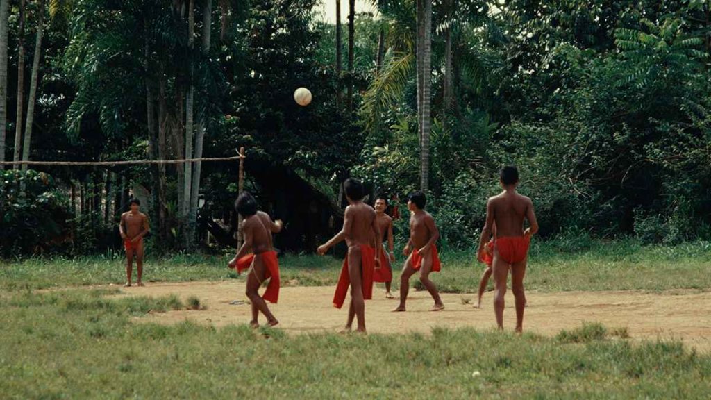 Festival Internacional de Cine Ambiental (Finca) 2026
