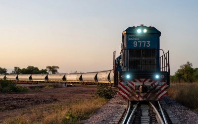 La privatización del Belgrano Cargas y una entrega más para el extractivismo