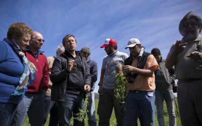 Eduardo Cerdá: "No hay que reemplazar al glifosato, hay que cambiar el modelo de producción"