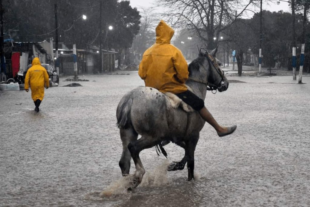 El Niño despertó