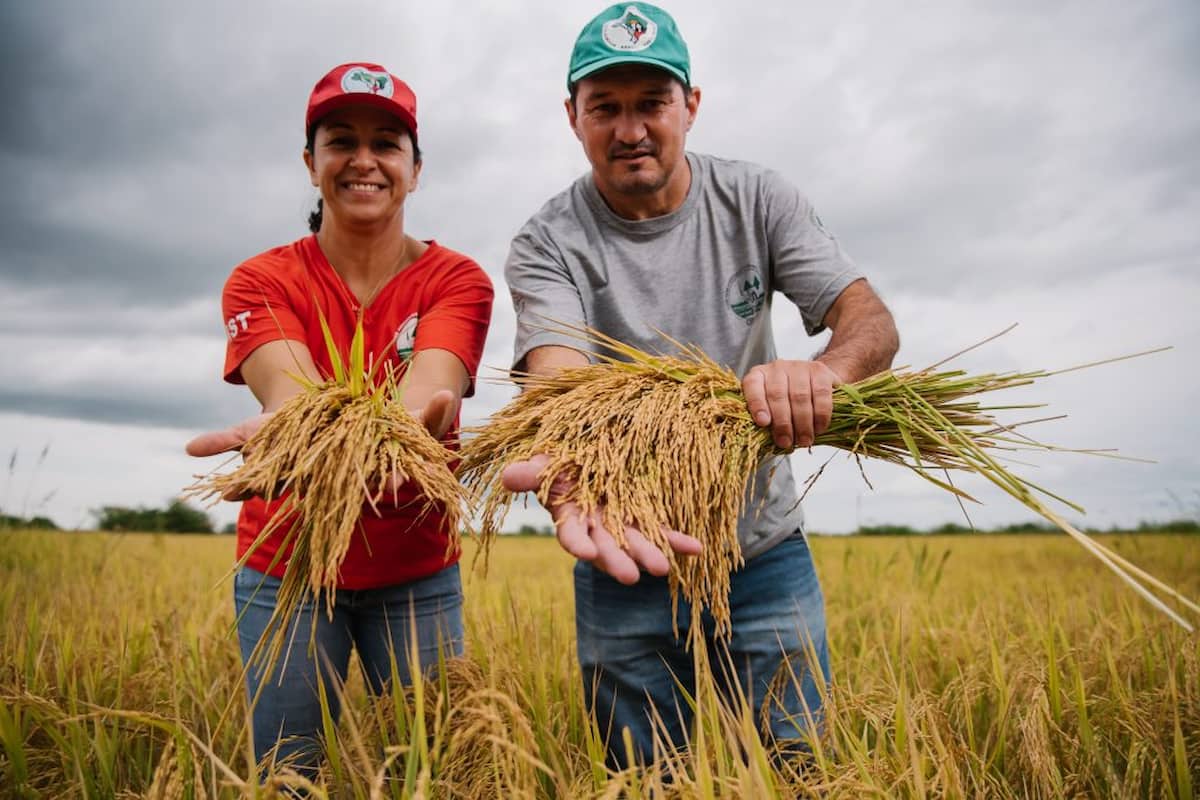 Terra Livre Agroecológica