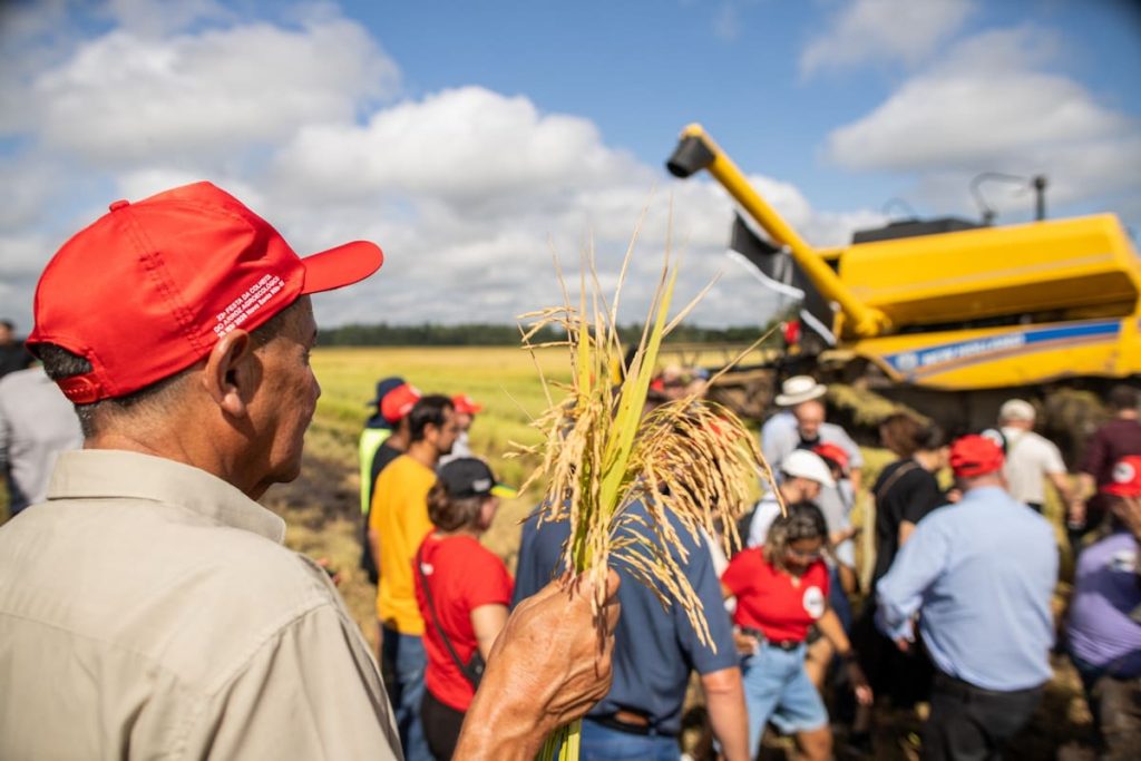 Terra Livre Agroecológica