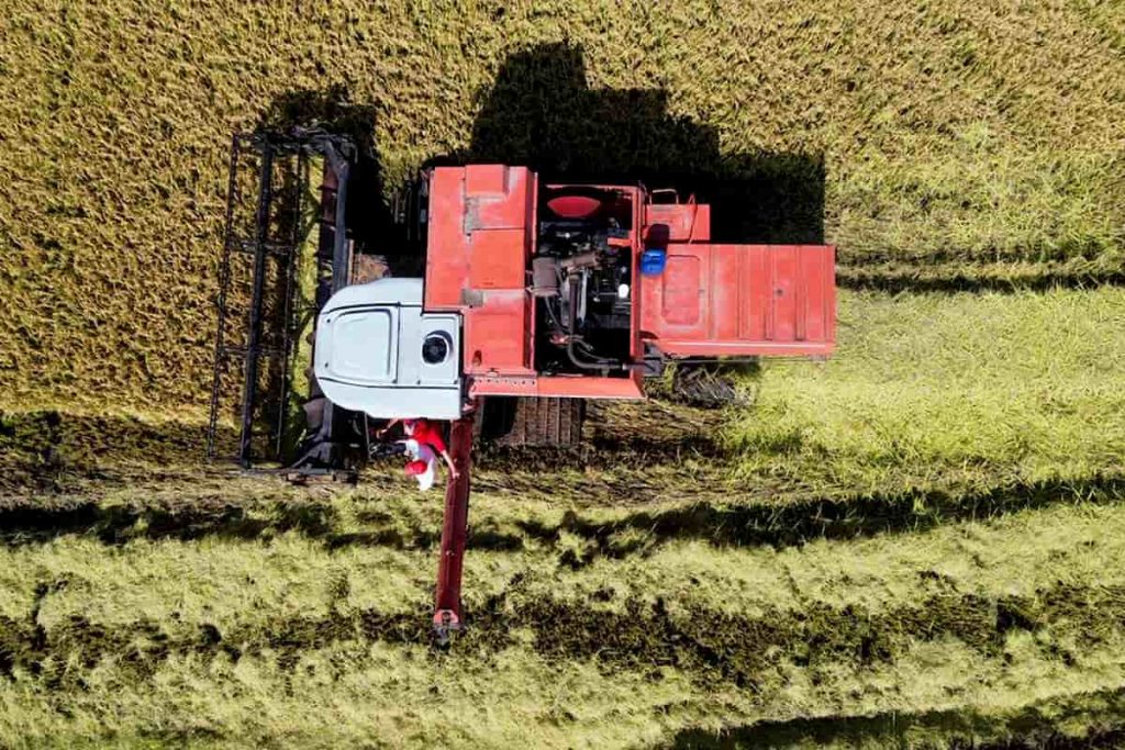 Terra Livre Agroecológica