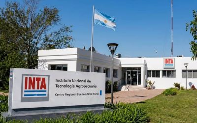 Perseguir y censurar a la ciencia: el INTA echa y exonera a su mayor investigadora en agrotóxicos