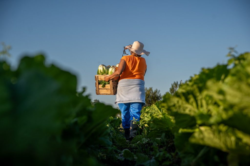 Cuando producir alimentos se convierte en una deuda