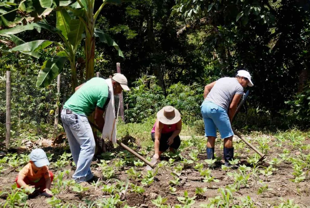 Ley de Tierras contexto global -Entrevista Carlos Duarte
