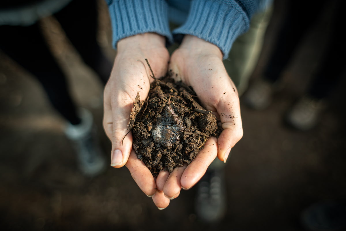 El suelo como espejo de la relación entre humanidad y naturaleza