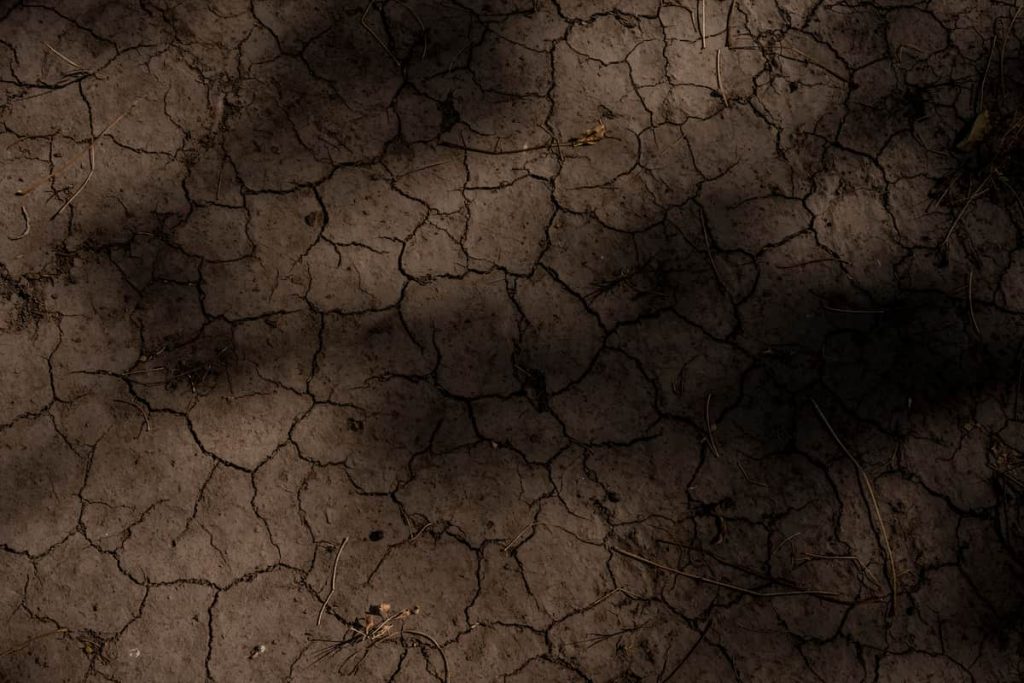 El suelo como espejo de la relación entre humanidad y naturaleza