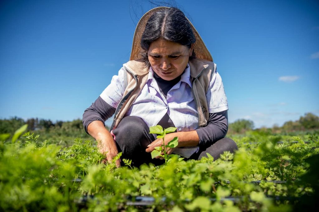 El suelo como espejo de la relación entre humanidad y naturaleza